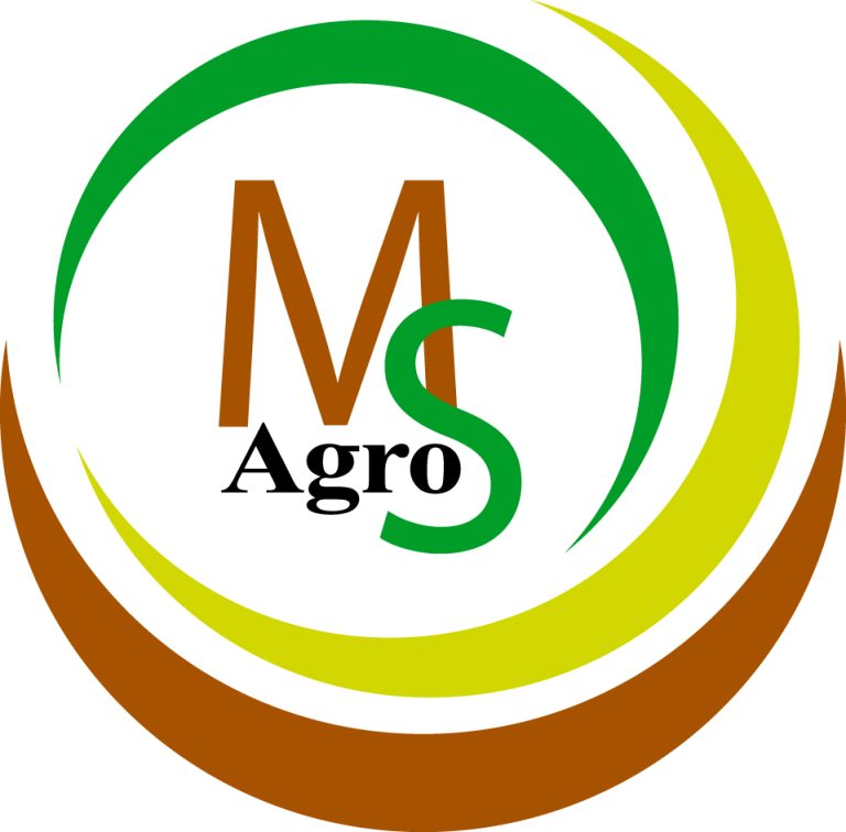 ms logo