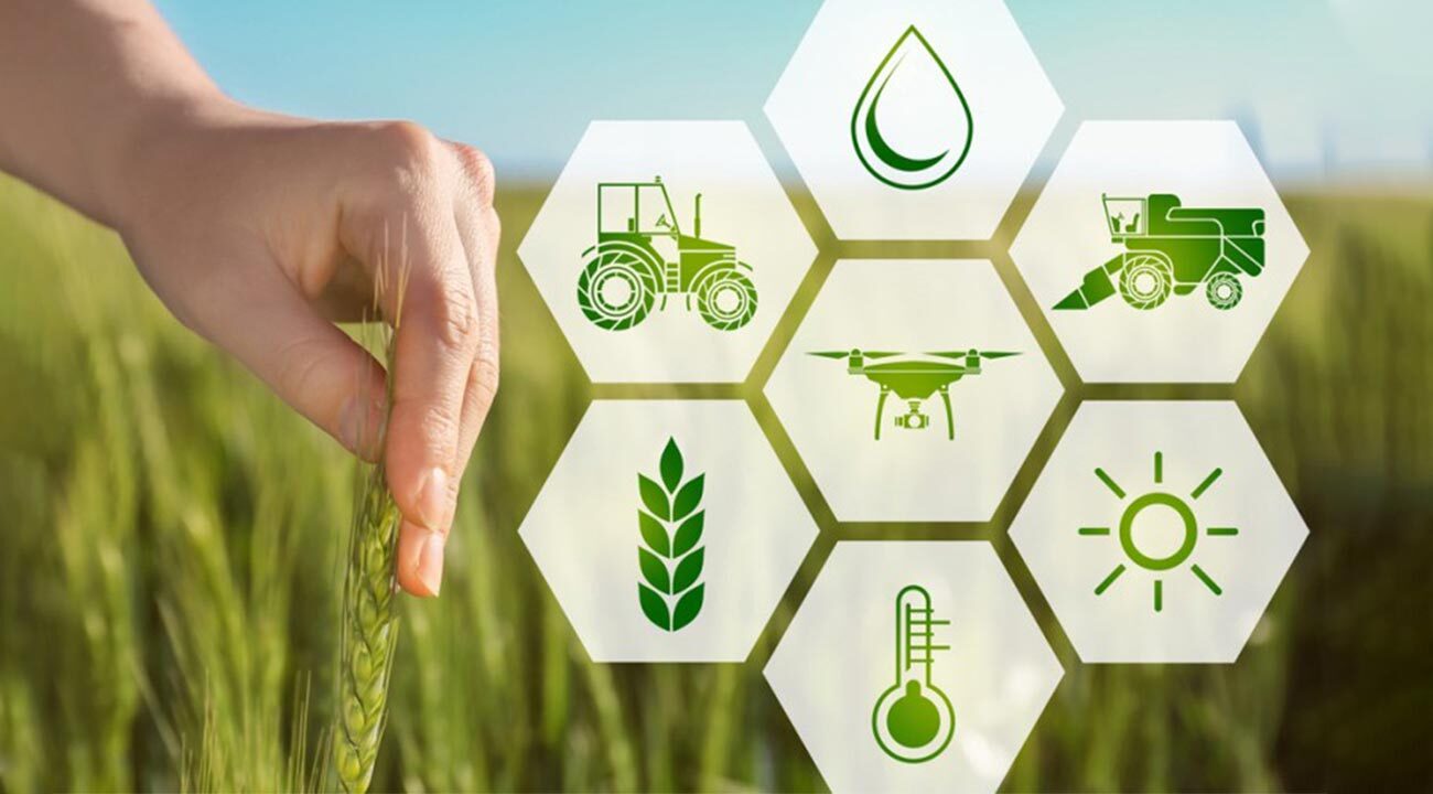 Agro Firm